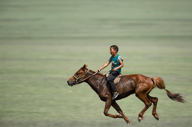 Horseback Riding